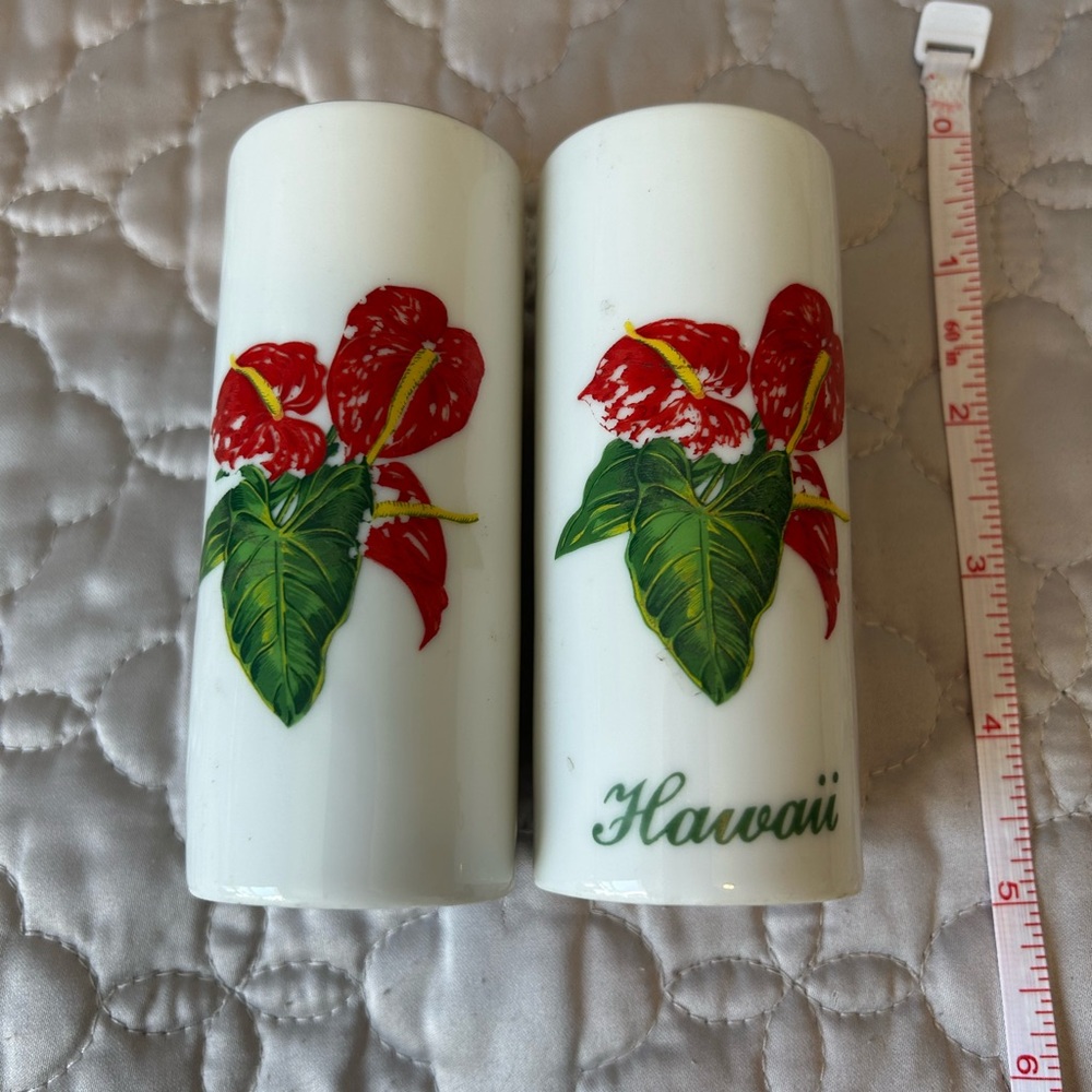 Vintage Salt and Pepper Shakers with the Flower of Hawaii
